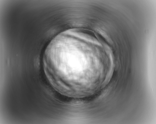 X0000088840207200706211839