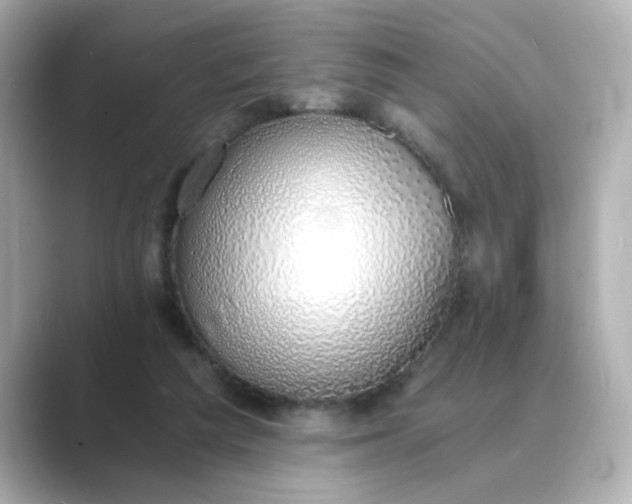 X0000088840209200706211839