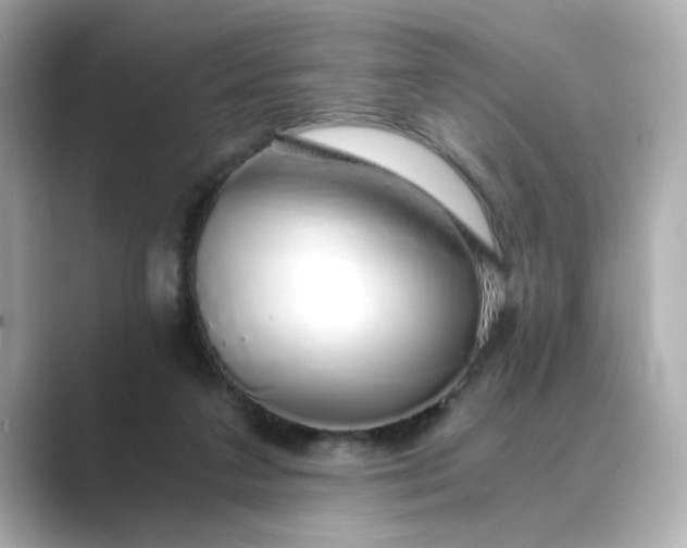 X0000088840211200706211839