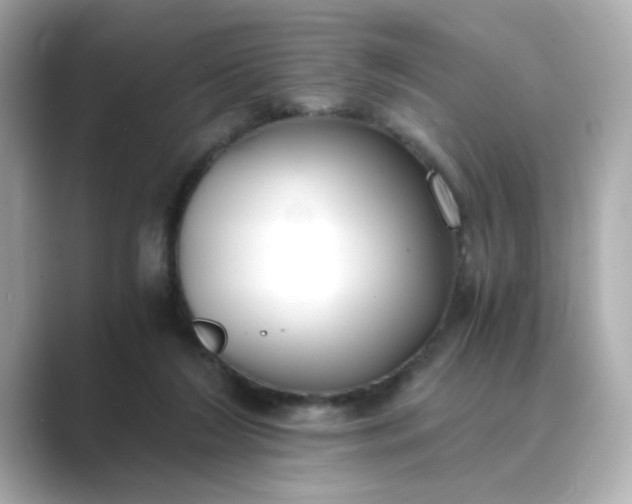 X0000088840212200706211839