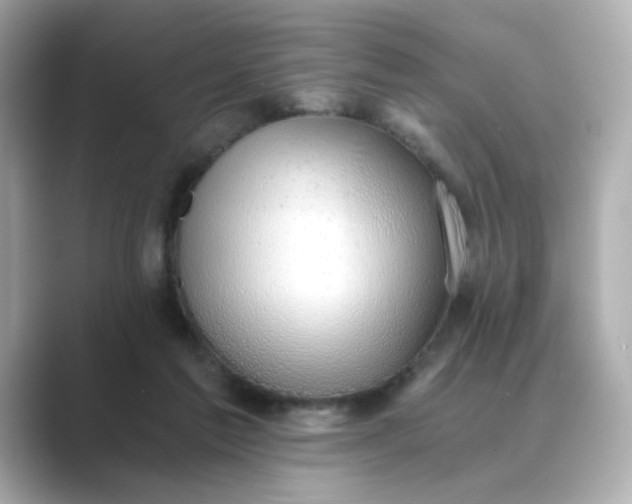 X0000088840213200706211839