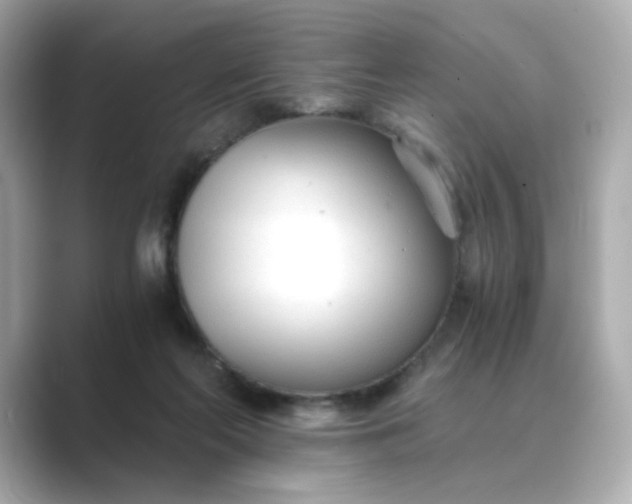 X0000088840214200706211839