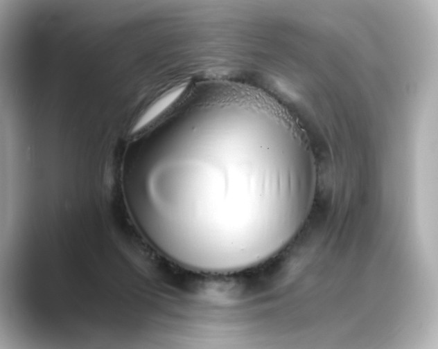 X0000088840215200706211839