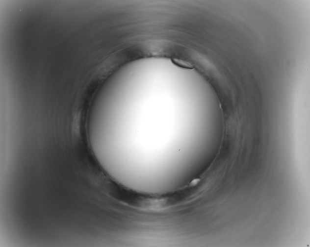 X0000088840217200706211839