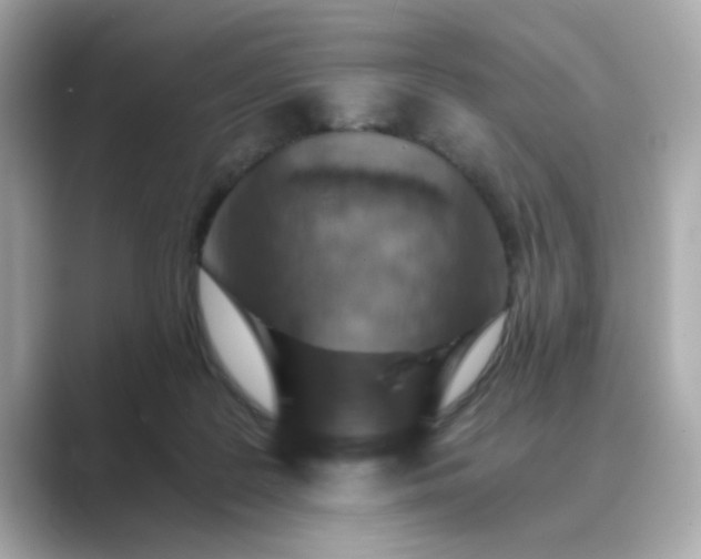 X0000088840219200706211839