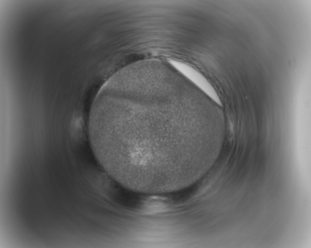 X0000088840222200706211839