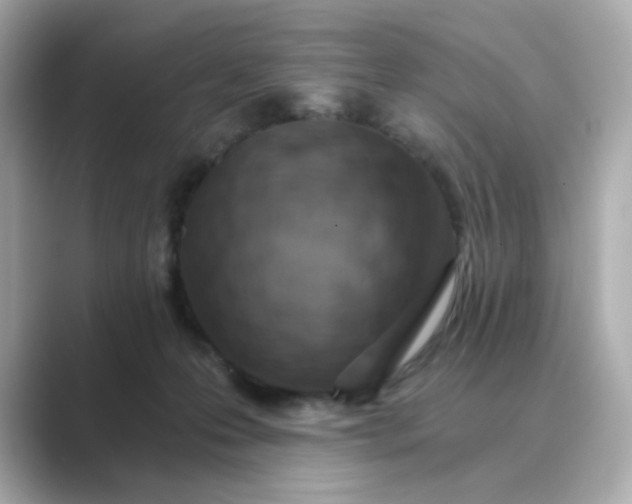 X0000088840223200706211839