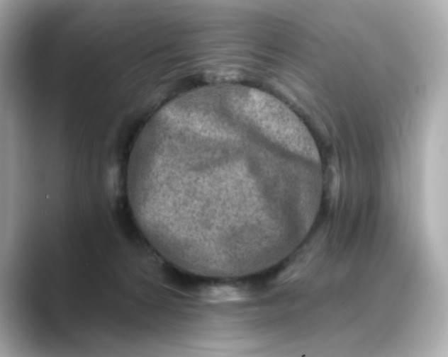 X0000088840224200706211839