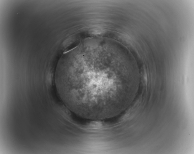 X0000088840227200706211839