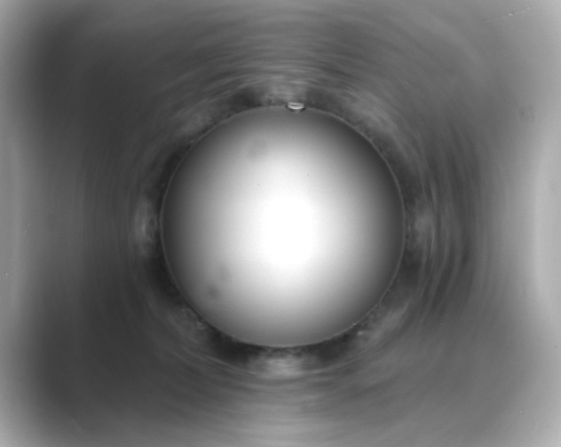 X0000088840228200706211839