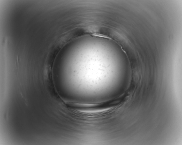 X0000088840229200706211839