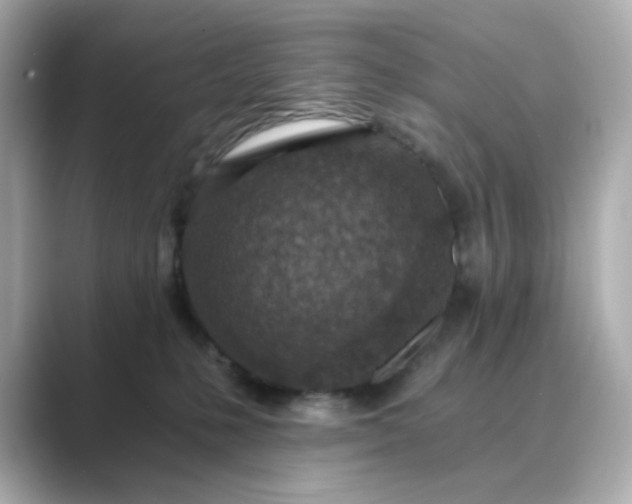 X0000088840231200706211839