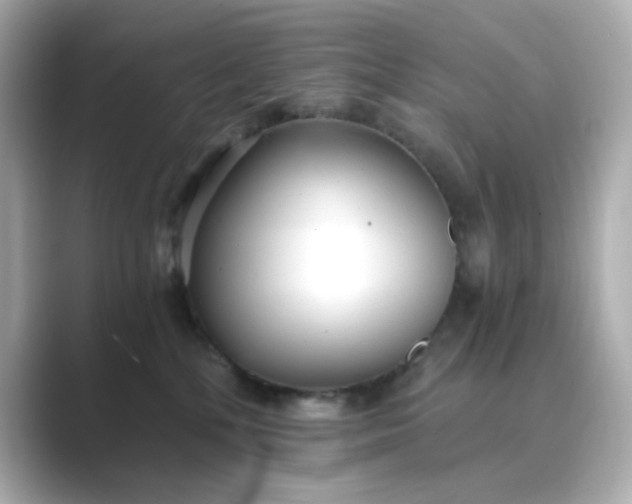 X0000088840232200706211838