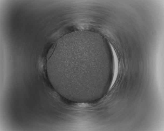 X0000088840233200706211838