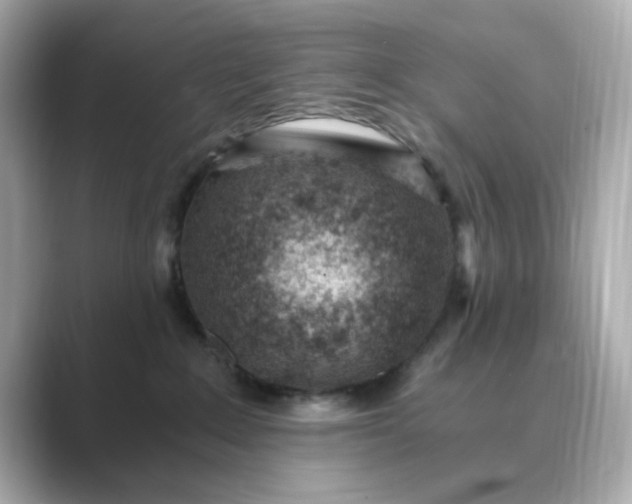 X0000088840235200706211838