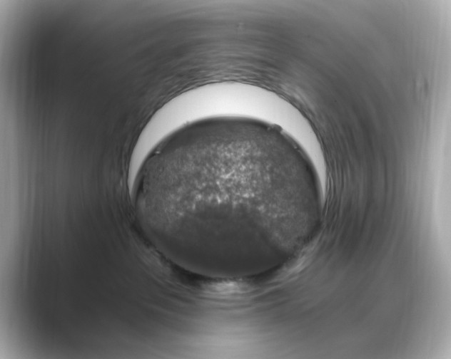 X0000088840237200706211838