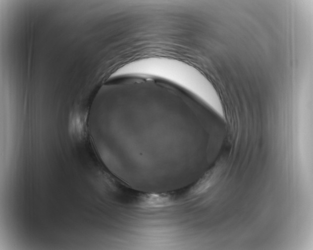 X0000088840239200706211838