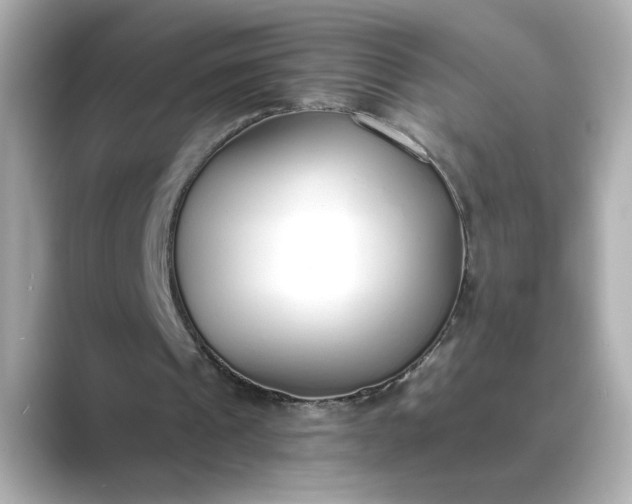 X0000088840241200706211838