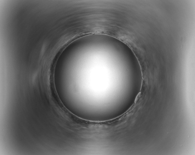 X0000088840242200706211838