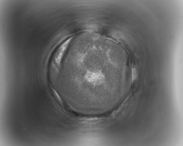 X0000088840243200706211838