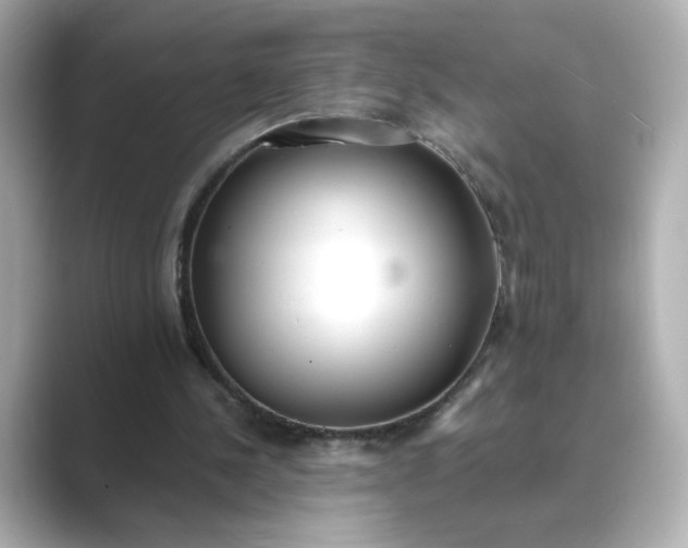 X0000088840244200706211838