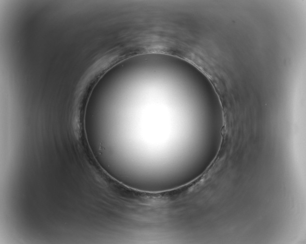 X0000088840245200706211838