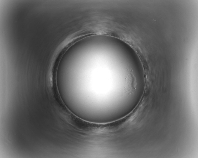 X0000088840246200706211838