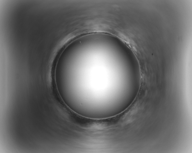 X0000088840248200706211838