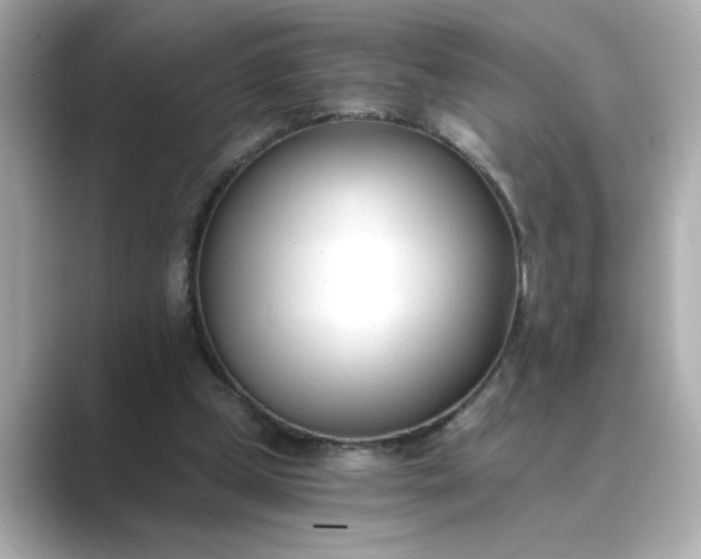 X0000088840249200706211838