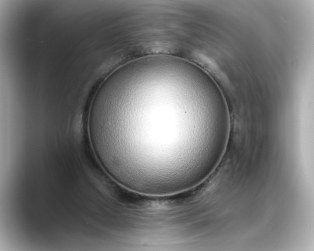 X0000088840250200706211838