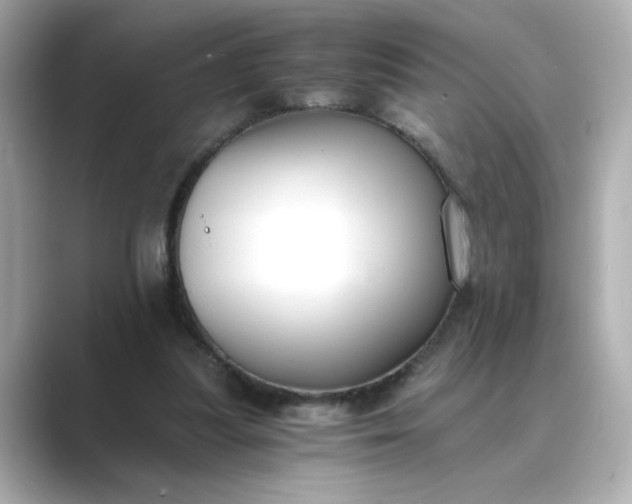 X0000088840251200706211838