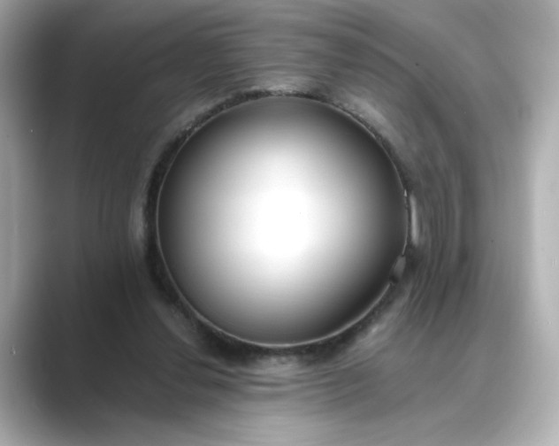 X0000088840252200706211838