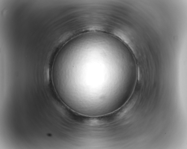 X0000088840253200706211838