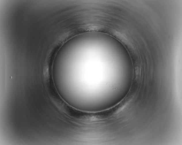 X0000088840254200706211838