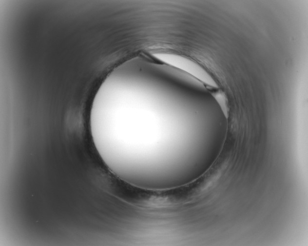 X0000088840256200706211838