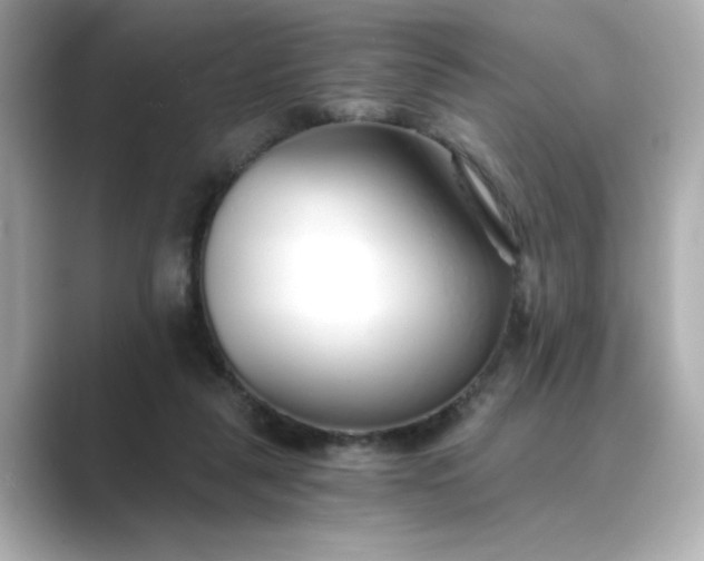 X0000088840259200706211838