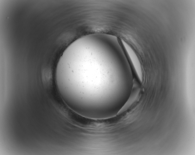 X0000088840260200706211838