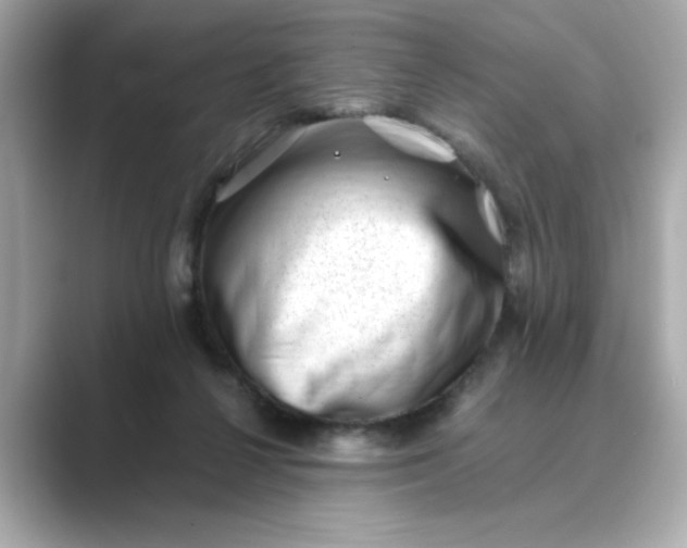 X0000088840264200706211838