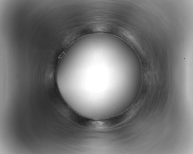 X0000088840265200706211838