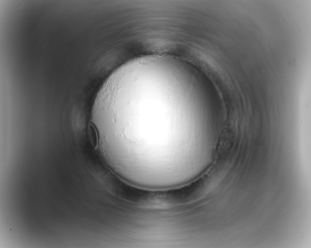 X0000088840268200706211838