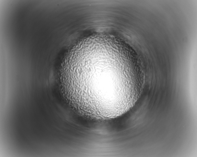 X0000088840272200706211838