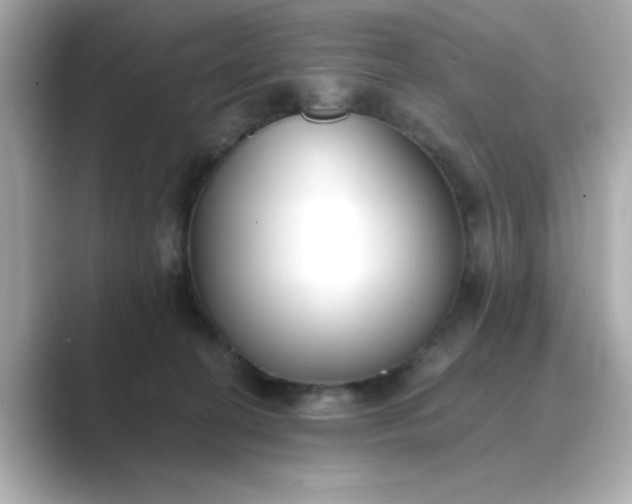 X0000088840274200706211838