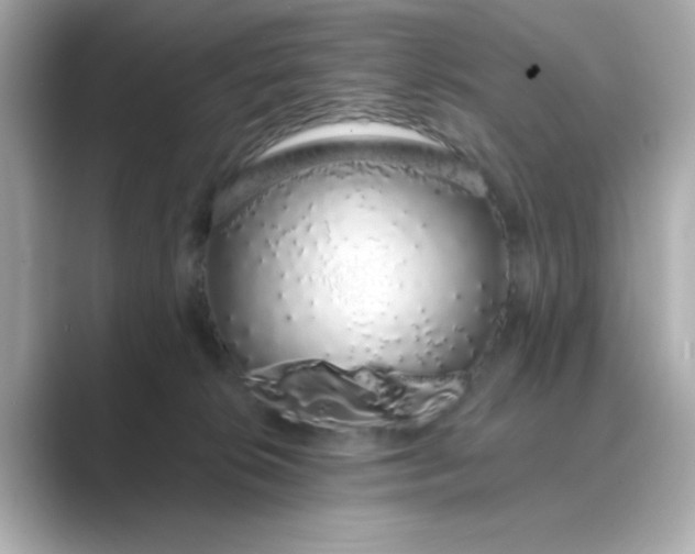 X0000088840276200706211838