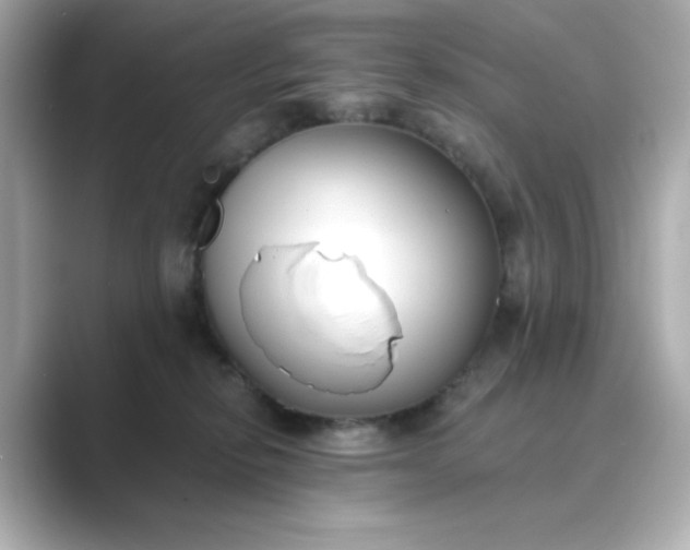 X0000088840278200706211838