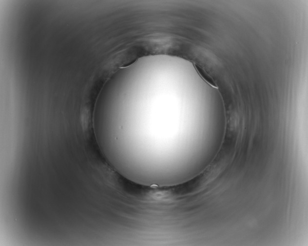 X0000088840283200706211838