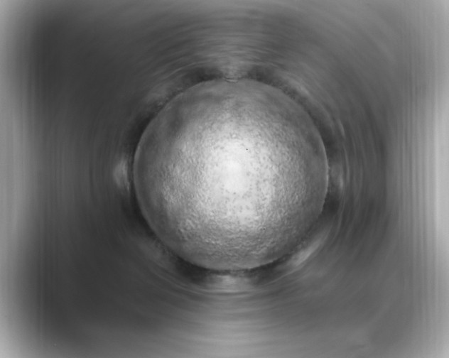 X0000088840286200706211838