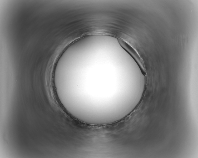 X0000088840289200706211838