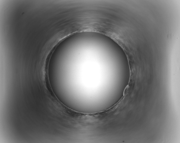 X0000088840290200706211838