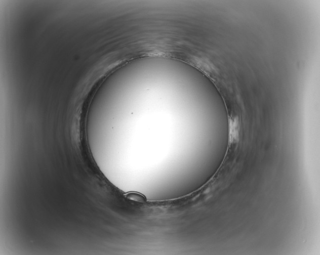 X0000088840291200706211838