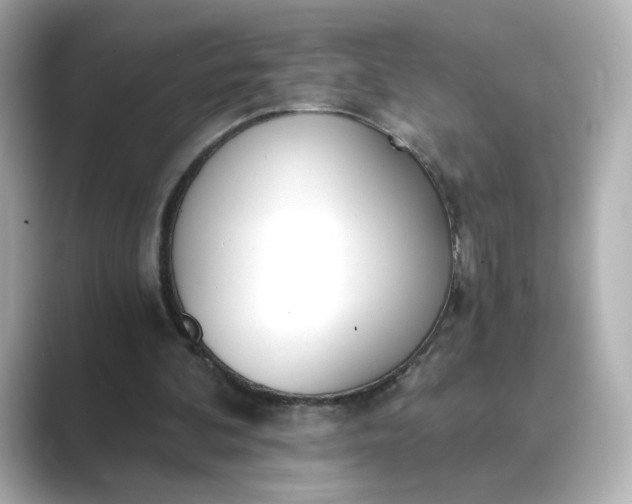 X0000088840292200706211838